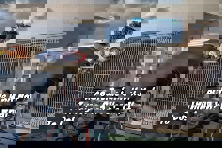 A technician in a hard hat inspects a large AC unit with gauges